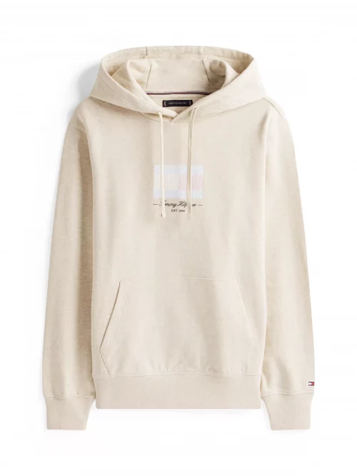 Pull Sweat  Capuche Print Drapeau Beige Clair – Image 4