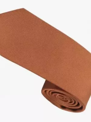 Accessoire Cravate Nos Soie Ottoman Beige Moyen